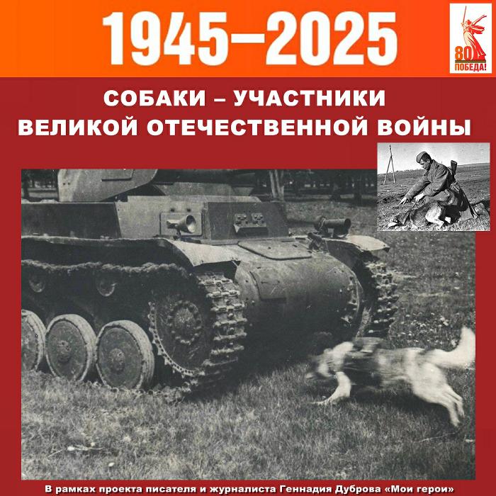 Собаки – участники Великой Отечественной войны