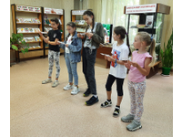  Хрупкое волшебство