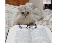  Мишель: да будет свет… и книга!