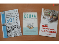  Мишель: да будет свет… и книга!