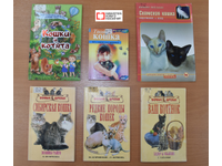  Мишель: да будет свет… и книга!