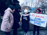 Покормите птиц зимой!