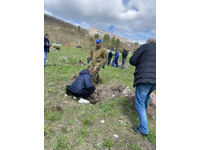  Принимаем участие в акции «Сады Памяти»