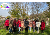 Снова субботник! И снова Некрополь!