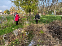 Снова субботник! И снова Некрополь!