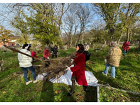 Снова субботник! И снова Некрополь!