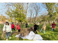 Снова субботник! И снова Некрополь!