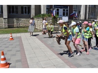 «Вместе мы – Россия»
